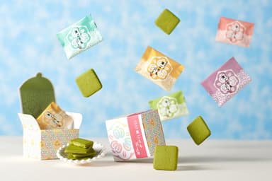 「宇治抹茶ラングドシャ 葉ごろも 虹色パッケージ」