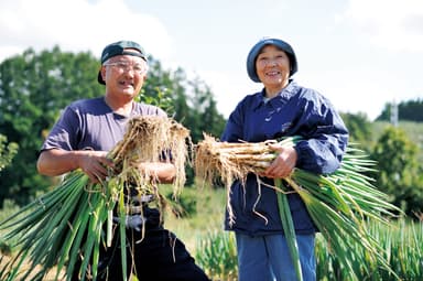 野菜農家