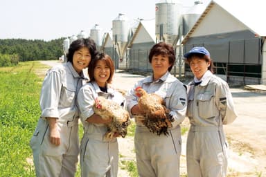 ハーブ、麦などを配合した植物性タンパク質の豊富な飼料で飼育2