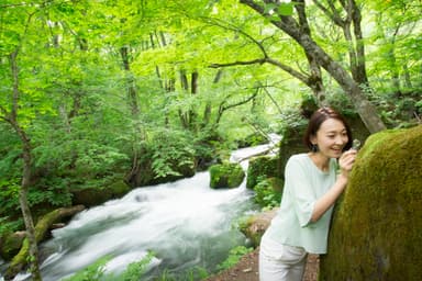 【奥入瀬渓流ホテル】苔さんぽ