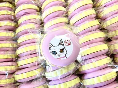 限定品例「マカロンふせん」