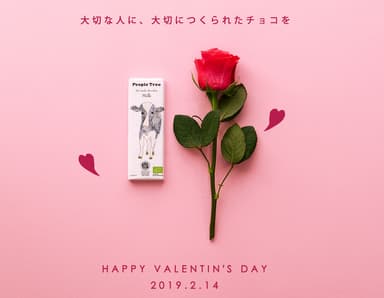 Happy Valentine's Day