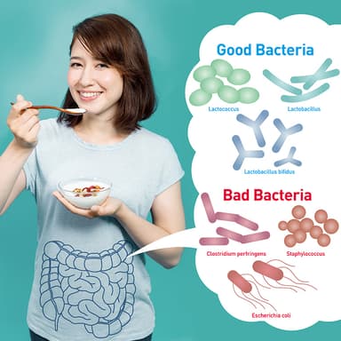 プロバイオティクスとプレバイオティクスを組み合わせることや、その両方が含まれた食品のことを「シンバイオティクス」。