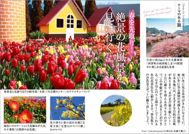 「旅色」2019年2月号　テーマのある旅（冬の花景色）