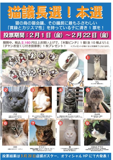 猫議長選！本選