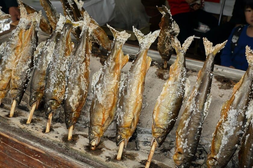 日本全国、ふるさとの「食」が代々木公園に集結。
代々木公園で全国の郷土料理が楽しめるイベント
「ふるさとの食 にっぽんの食」開催決定！！
2019年3月9・10日in代々木公園