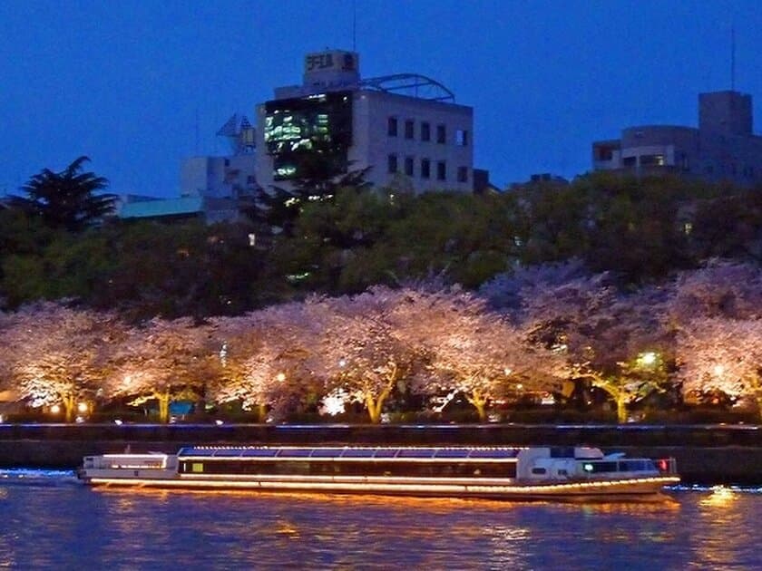 水上から夜桜鑑賞！「お花見ナイトクルーズ」を運航！