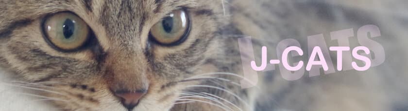 にゃんTuberデビュー！猫とデジタル技術の融合　
猫動画を配信するチャンネル「J-CATS」が開設