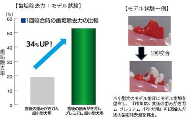 歯垢除去力モデル実験