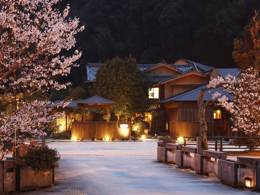 星野リゾート　界 　
ご当地ならではの春を感じる「桜・花旅」誕生
実施期間：2019年3月1日～5月31日