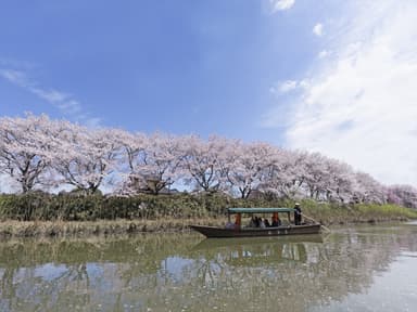 【界 加賀】大聖寺花見1