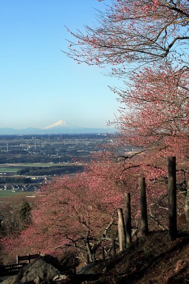 関東冨士見百景