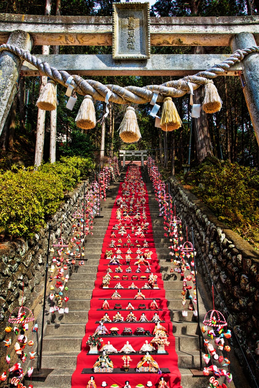 118段の階段に日本一の雛飾り！
伊豆稲取温泉「素盞鳴神社雛段飾り」2/20～3/10に開催