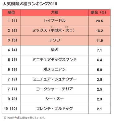 犬種1-10