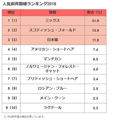 猫種1-10