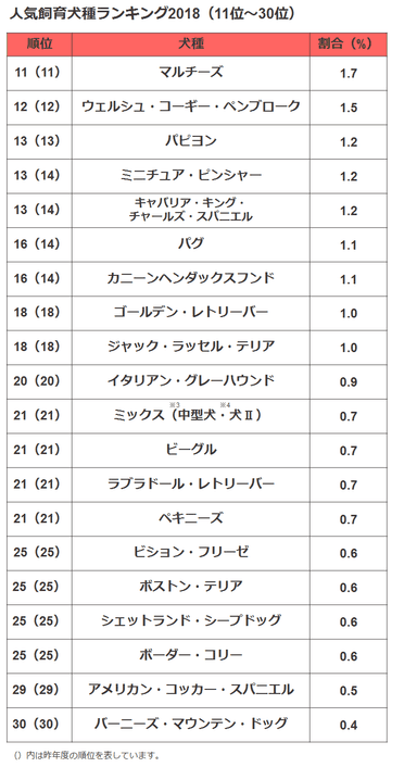 犬種11-30