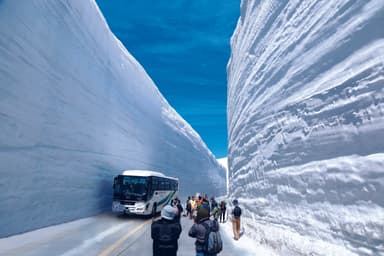 雪の大谷ウォークの様子