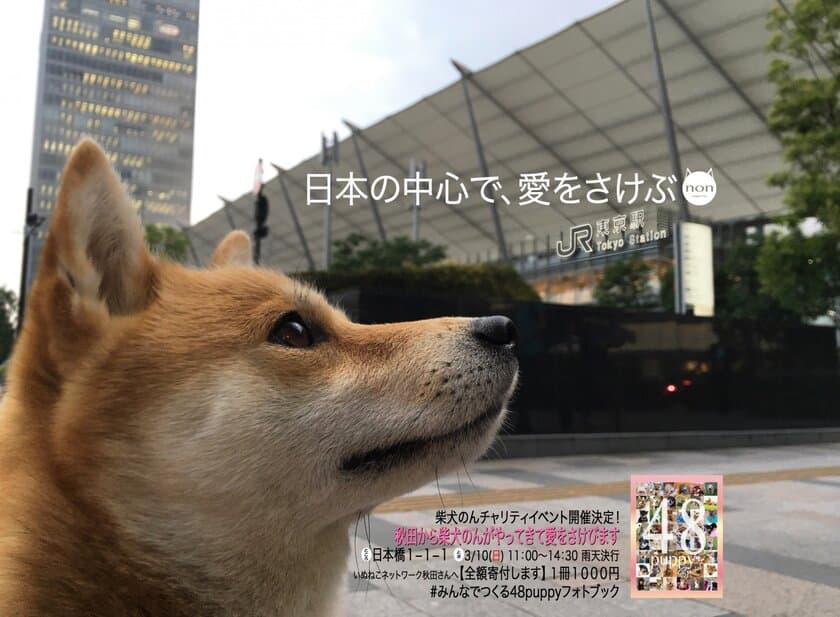 「柴犬のん」が動物の命を救う。
柴犬フォトブック販売チャリティイベントを
しまうまプリントがサポート