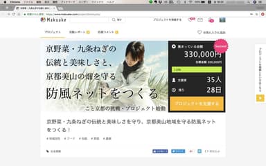 京都の美山で九条ねぎの生産を行う農人と九条ねぎ畑