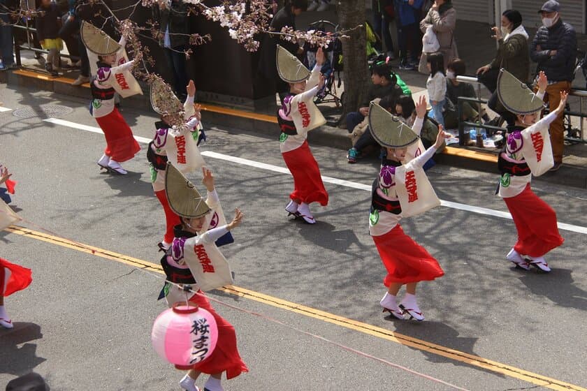 4月7日(日)は「桜のまち」多摩市で春を楽しもう！
第38回せいせき桜まつり・第31回多摩センター桜まつり開催！