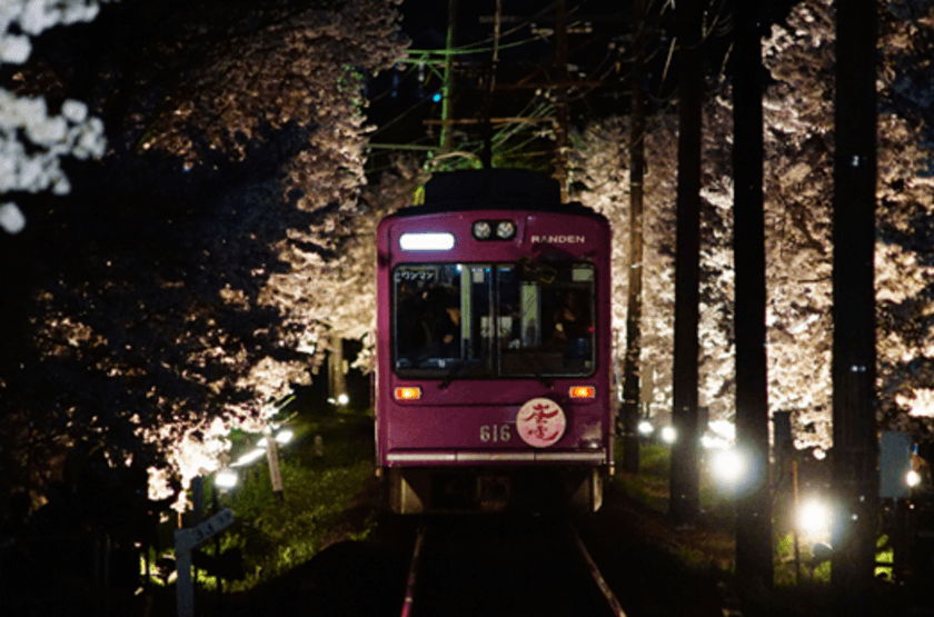 嵐電だけの桜
嵐電桜のトンネルライトアップ実施
◆ 今年は、４月５日（金）から４月７日（日）まで実施。 「夜桜電車」も運行。
◆　今回２０回目の開催。