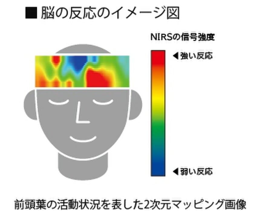 「集中」維持にメカクール保冷ベスト着用の有効性を実証
高温高湿環境下での脳機能実験で確認