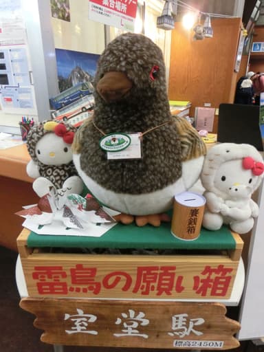 大きな雷鳥くんが見守る中、願い箱に想いを託して…