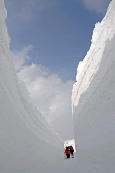 雪の回廊