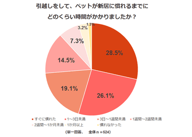 調査結果4