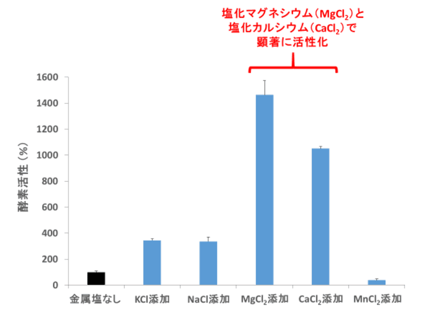 ～低炭素社会実現の“カギ”はラン藻に～
明治大学農学部環境バイオテクノロジー研究室が
モデルラン藻が持つ酸素呼吸の鍵酵素が
型破りな活性調節を受けることを明らかにしました