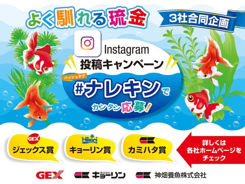 ジェックス・キョーリン・神畑養魚の3社合同企画
「よく馴れる琉金 Instagram投稿キャンペーン」を
8月31日まで実施！