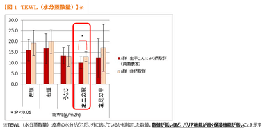 【図1 TEWL(水分蒸散量)】