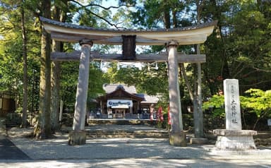 土佐神社　鳥居