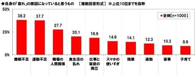 自身の「疲れ」の原因になっていると思うもの