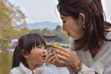 家族で笑顔になる口・福・餅　抹茶でお化粧