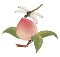 桃谷順天館グループ