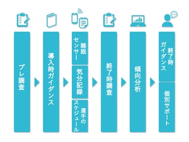 プログラム概要