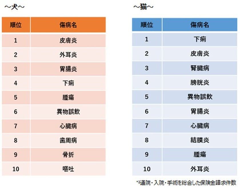 【ペット保険のアイペット】
ペットの傷病、犬は「皮膚炎」猫は「下痢」が最多
年齢ごとに注意すべき傷病とは！？
～ペットの保険金請求が多い傷病のランキング2019～