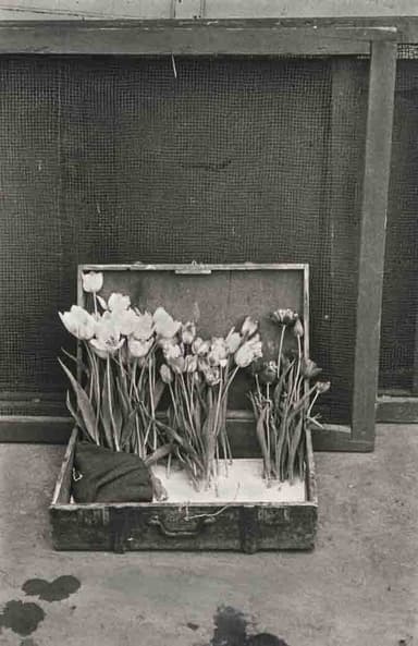 《パリ》1950年 Paris&#44; 1950 (C) Robert Frank