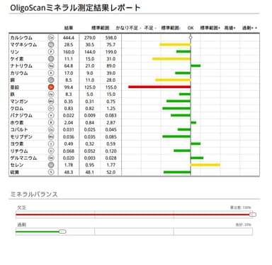 有害重金属＆ミネラル測定結果のレポート(1)