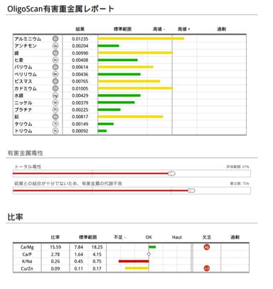 有害重金属＆ミネラル測定結果のレポート(2)