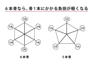 カーボン6本骨で丈夫