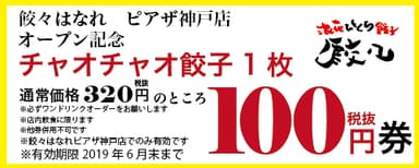 割引チケット(2019年6月末まで)