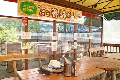 ぷち養蜂場