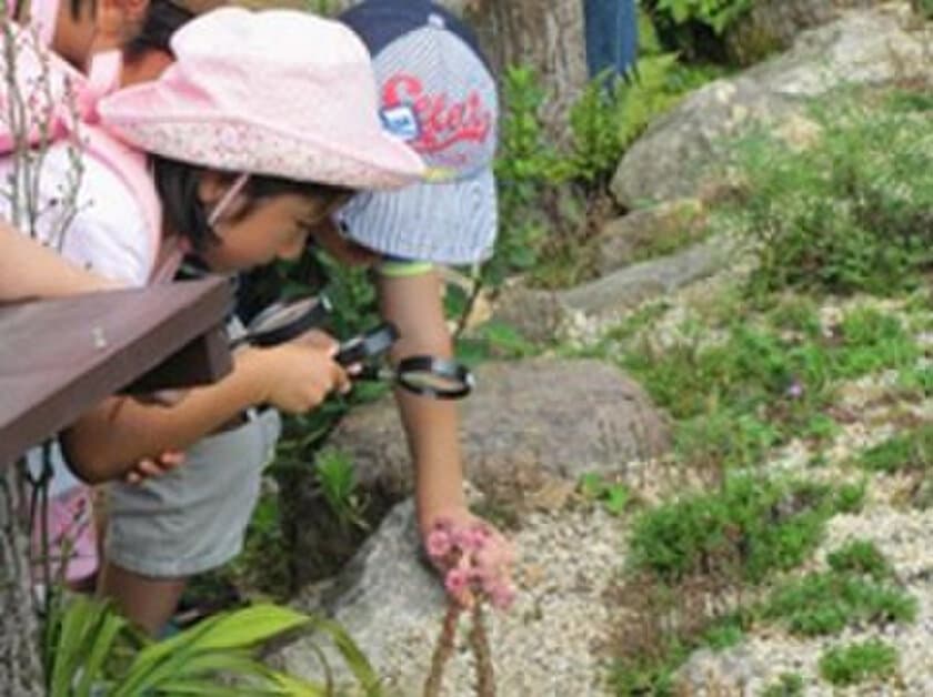 六甲高山植物園　夏休みの宿題解決イベント
「食虫植物のひみつ展」7/13（土）～開催！