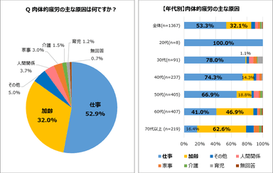 肉体的疲労の主な原因