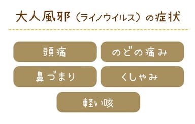 大人風邪(ライノウイルス)の症状