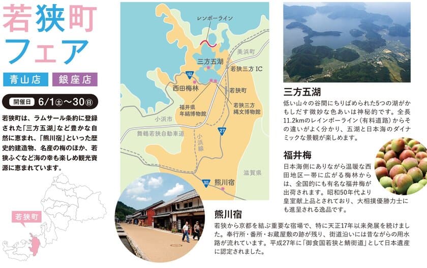 6月は梅の最盛期！福井県アンテナショップでは
6月1日より梅の産地「若狭町フェア」を開催！