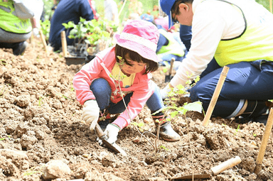 水源地植樹活動（北海道）の様子