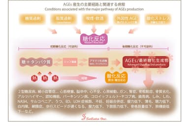 AGEs MainPathWay